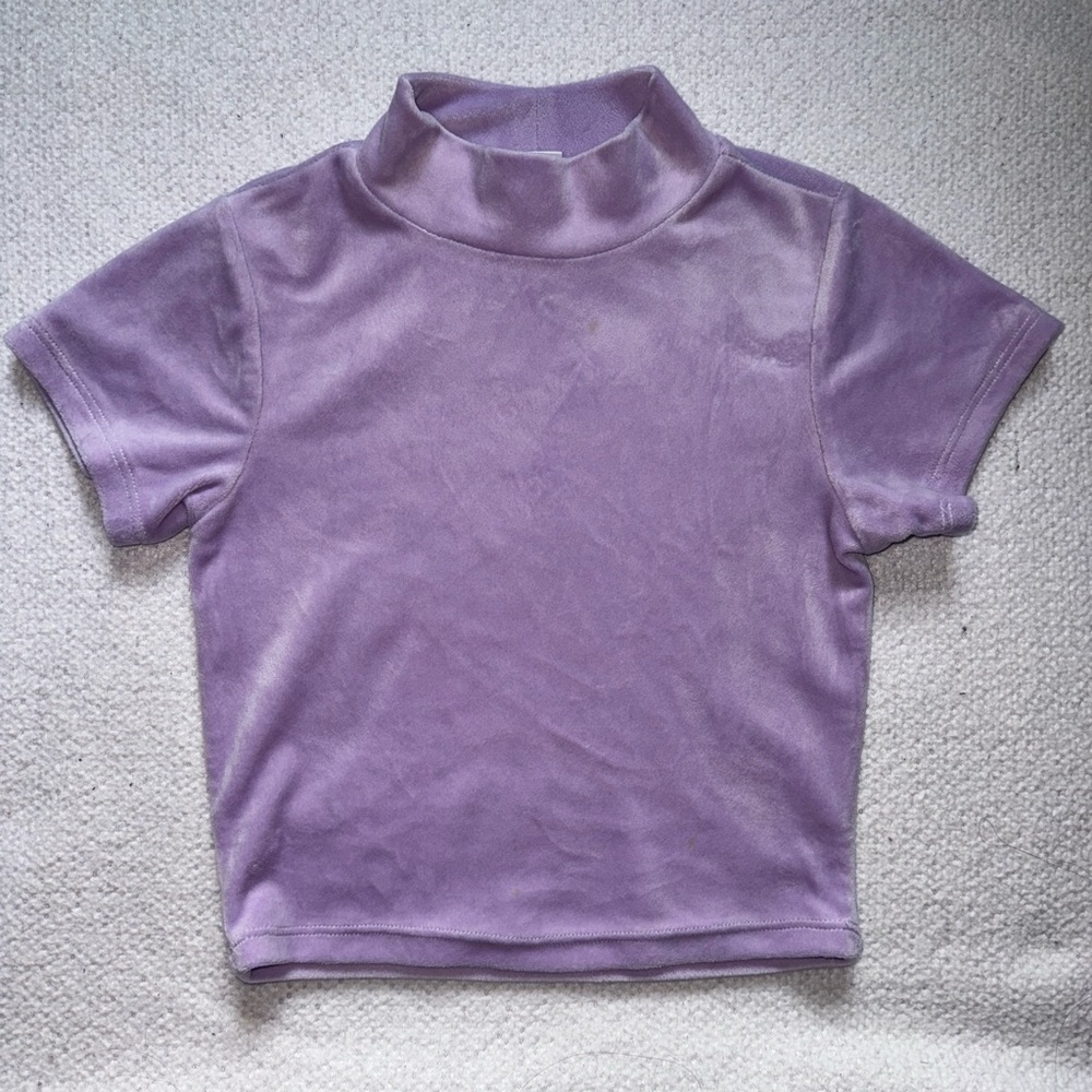 Velvet Mock Neck Short Sleeve Crop Top